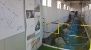 imbunatatiri-funciare-carmin-01